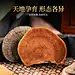 南京同仁堂桑黄中草药材西藏非野生搭玉竹泡茶包泡酒灵芝正品桑树-tmall.com天猫