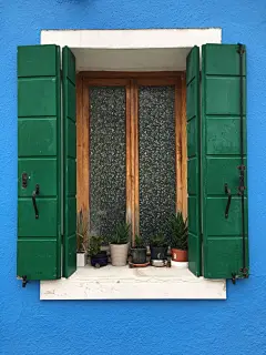 多肉植物高清摄影素材