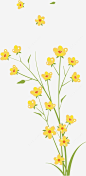 手绘花朵png免抠素材_新图网 https://ixintu.com 矢量 卡通 手绘 花朵 鲜花 AI 花卉 野花 黄色 绿色