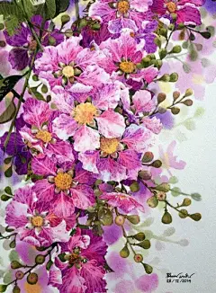 水彩---花卉 - 高清图片，堆糖，美图壁纸兴趣社区