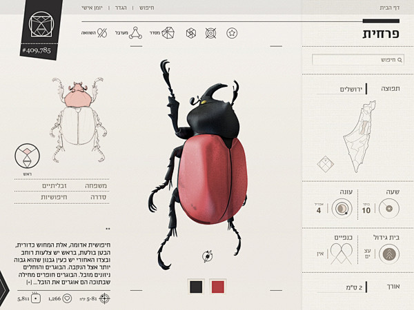 Insect Definer on Be...
