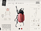 Insect Definer on Behance http://designart.zcool.com.cn/