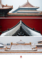 十一月的尾巴，#紫禁城的初雪#怎么都看不够！ ​​​​
