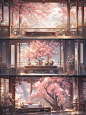 邂逅桃花源