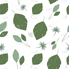 背景,二进制码,自然,图像,壁纸,枝,橄榄,自然美,叶子,装饰