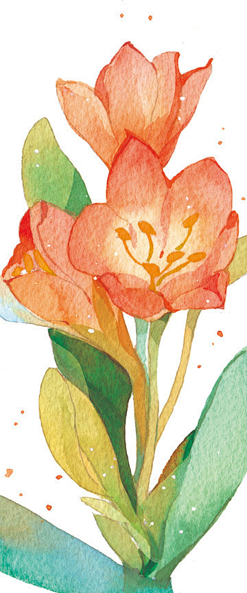 +四季+-cause勃勃_水彩,植物,花...