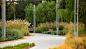 La Jolla Commons | OJB Landscape Architecture : Located in the University Town Center district of San Diego, La Jolla Commons is an 18-acre, three-phase office and hotel development organized around a two-acre green space.