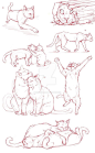 猫 cat 可爱 动物 猫手绘 绘画 猫结构