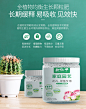 肥仙子氮磷钾颗粒肥绿植盆栽多肉绿萝家庭园艺纯硫酸钾三元复合肥-tmall.com天猫