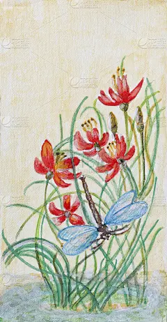 画睡莲