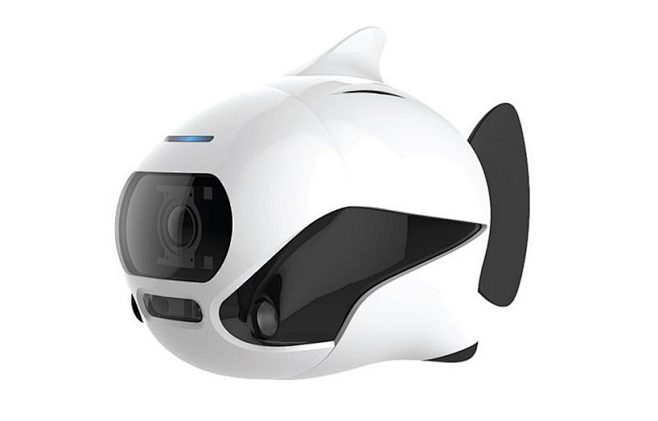introducing BIKI, th...
