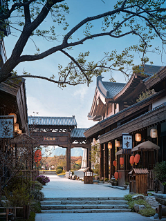 🌸沙沙沙🌸采集到古