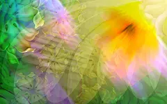 彩绘鲜花高清桌面壁纸