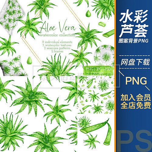 创意手绘水彩芦荟绿植图案边框化妆护肤美妆...