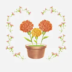 一盆康乃馨手绘插画png免抠素材_新图网 https://ixintu.com 鲜花 园艺 彩色花 植物 五月 教师节 周年纪念 一盆康乃馨手绘插画