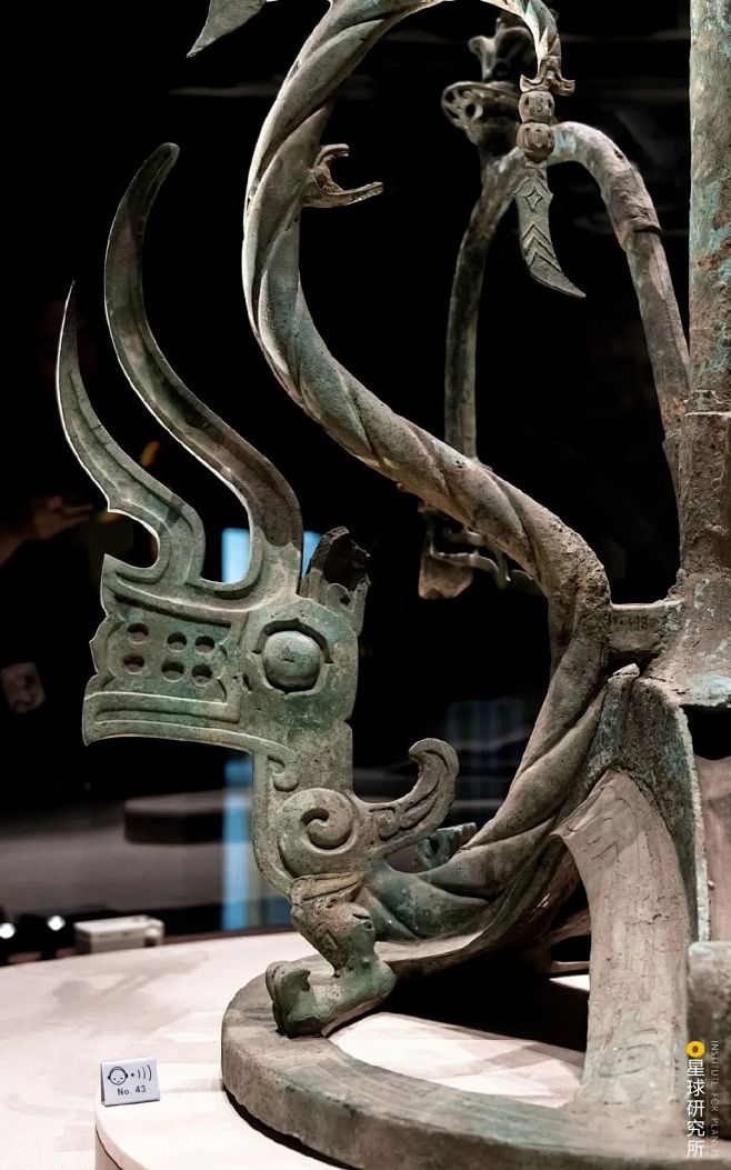 什么是三星堆？一份献给神明的礼物