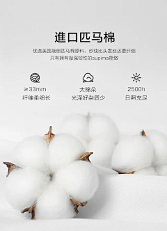 大洪洪HONG采集到面料