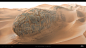 weta-workshop-design-studio-001-dune-sandworm-ww