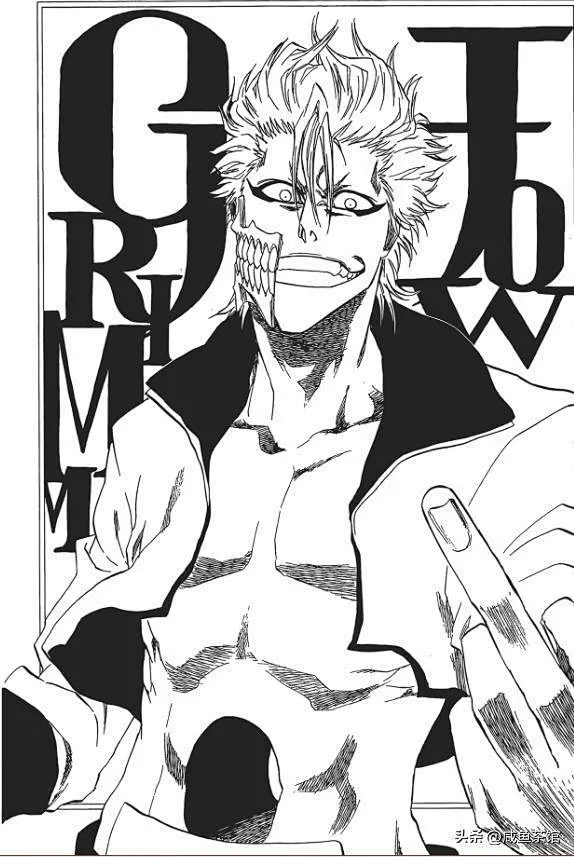 死神BLEACH 十大最强虚排行榜,萨尔阿波罗史上最无解大虚-花瓣网