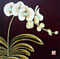 工笔花鸟-荷