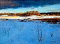 #国际艺术大观# Peter Fiore 风景油画