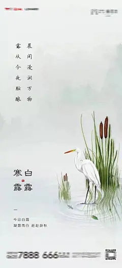 【源文件下载】 海报 房地产 二十四节气 白露 寒露 中式 插画 白鹭  185242