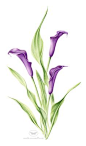 (276) Pinterest
- - - - - - - - - - - - - -
 ——→ 【 率叶插件，让您的花瓣网更好用！】> https://lvyex.com