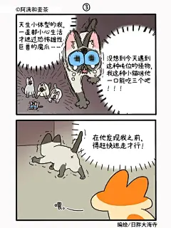 公司的猫咪聚会2（上）_5_阿满和麦茶_来自小红书网页版