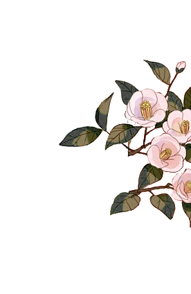 f4a017b4815fd2ebc790...