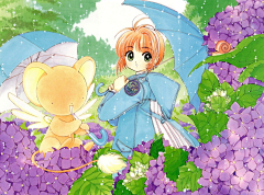 别致的七采集到动漫—魔卡少女樱