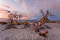 Mesquite Flat Sand Dunes by Raffaele Tiraferri on 500px
