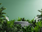 Concrete podium in tropical forest for product presentation and green wall3d rendering