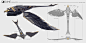 Dune: Ornithopter, Michael Soong : Personal work exploring what vehicles might look like in Frank Herbert's Dune.
