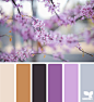 Design Seeds® | find your palette