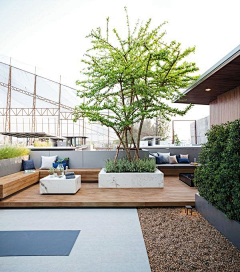 囧江采集到屋顶花园