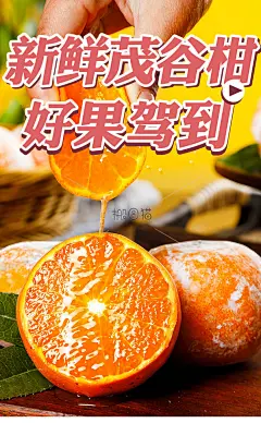 搬图猫,国内美食生鲜水果高清正版图片,电商详情设计,视频素材可商用网站