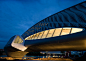 Zaragoza Bridge Pavilion - Design - Zaha Hadid Architects