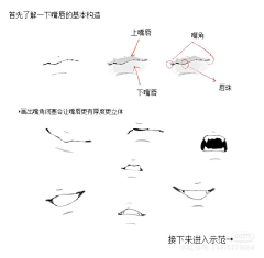 一点红炉雪采集到嘴