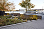 斯德哥尔摩，Sjövikstorget海滨广场 / Sweco Architects – mooool木藕设计网