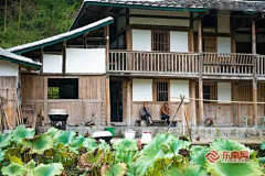 小严123采集到德化