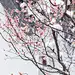 采集图片