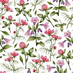 水彩无缝图案与草甸花插画图片素材