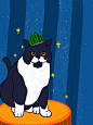 猫咪
