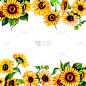 Watercolor Floral Frame Multi-Purpose Background f
