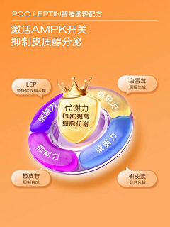 STELLAyiyi采集到详情