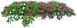 花草树木