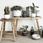 May is here – time for green plants – also inside your home.

Be creative and group your plants.

Place them on the floor or highlight them on stools, benches and whatever comes to mind.

#may #green #inside #creative #highlight #hubschinterior #tendencie