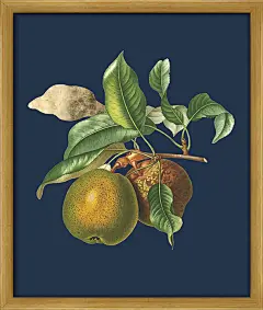 BC195421-HBH 55X65CM