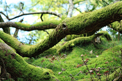 墨水无迹采集到现实背景