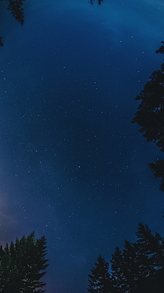 杨烊烊烊采集到天空 星空